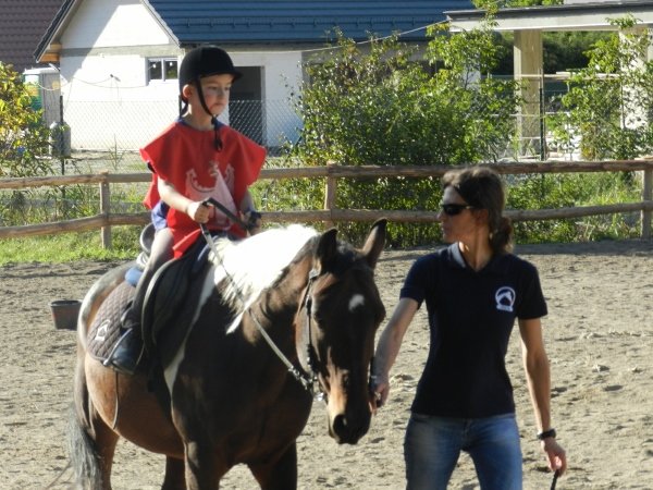 Babie Lato 2015